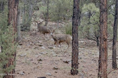 Tiny photo for 4840 Tatanka Drive, Show Low, AZ 85901 (MLS # 259844)