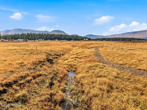 Tiny photo for Lot 25 The Ranch at Alpine, Alpine, AZ 85920 (MLS # 258741)