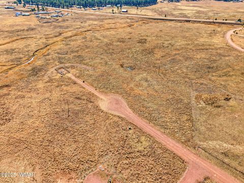 Tiny photo for Lot 25 The Ranch at Alpine, Alpine, AZ 85920 (MLS # 258741)