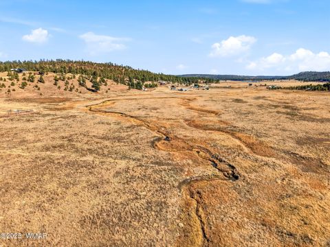 Tiny photo for Lot 25 The Ranch at Alpine, Alpine, AZ 85920 (MLS # 258741)