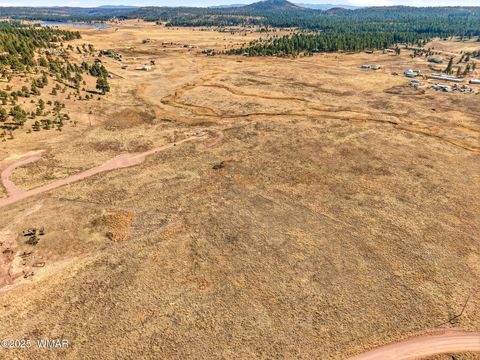 Tiny photo for Lot 25 The Ranch at Alpine, Alpine, AZ 85920 (MLS # 258741)