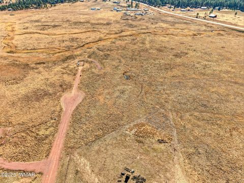 Tiny photo for Lot 25 The Ranch at Alpine, Alpine, AZ 85920 (MLS # 258741)