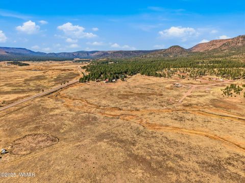 Tiny photo for Lot 25 The Ranch at Alpine, Alpine, AZ 85920 (MLS # 258741)