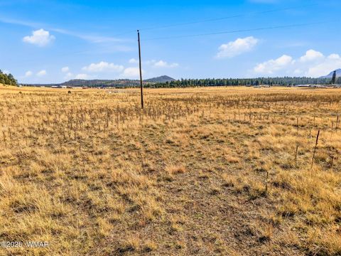 Tiny photo for Lot 25 The Ranch at Alpine, Alpine, AZ 85920 (MLS # 258741)