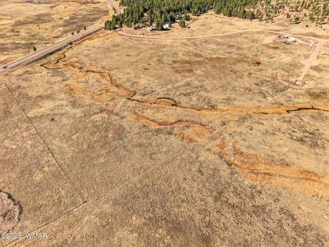 Tiny photo for Lot 25 The Ranch at Alpine, Alpine, AZ 85920 (MLS # 258741)