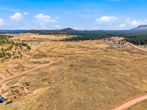 Tiny photo for Lot 25 The Ranch at Alpine, Alpine, AZ 85920 (MLS # 258741)