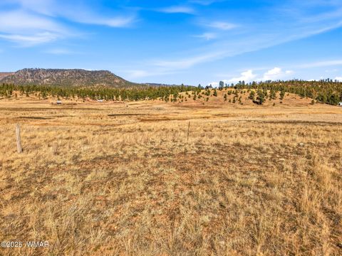 Tiny photo for Lot 25 The Ranch at Alpine, Alpine, AZ 85920 (MLS # 258741)