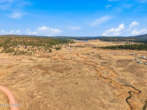 Tiny photo for Lot 25 The Ranch at Alpine, Alpine, AZ 85920 (MLS # 258741)