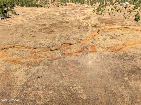 Tiny photo for Lot 25 The Ranch at Alpine, Alpine, AZ 85920 (MLS # 258741)