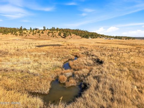 Tiny photo for Lot 25 The Ranch at Alpine, Alpine, AZ 85920 (MLS # 258741)