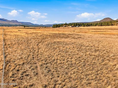 Tiny photo for Lot 25 The Ranch at Alpine, Alpine, AZ 85920 (MLS # 258741)