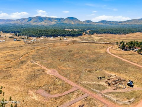 Tiny photo for Lot 25 The Ranch at Alpine, Alpine, AZ 85920 (MLS # 258741)