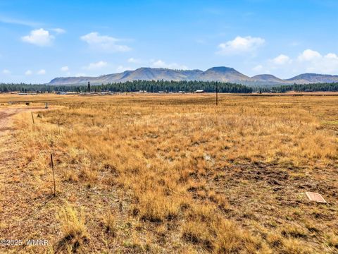 Tiny photo for Lot 25 The Ranch at Alpine, Alpine, AZ 85920 (MLS # 258741)