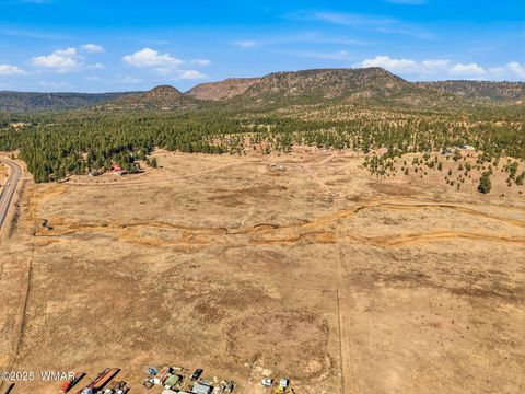 Tiny photo for Lot 25 The Ranch at Alpine, Alpine, AZ 85920 (MLS # 258741)