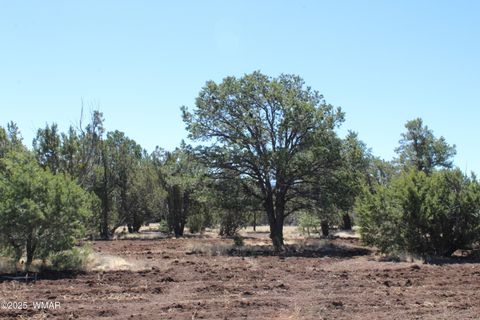 Tiny photo for 49 County Road N8158, Vernon, AZ 85940 (MLS # 255367)