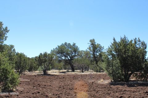 Tiny photo for 49 County Road N8158, Vernon, AZ 85940 (MLS # 255367)
