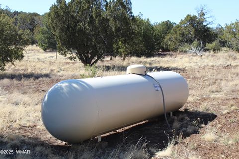 Tiny photo for 49 County Road N8158, Vernon, AZ 85940 (MLS # 255367)