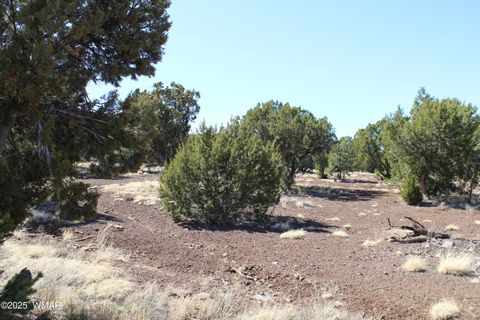 Tiny photo for 49 County Road N8158, Vernon, AZ 85940 (MLS # 255367)