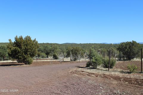 Tiny photo for 49 County Road N8158, Vernon, AZ 85940 (MLS # 255367)