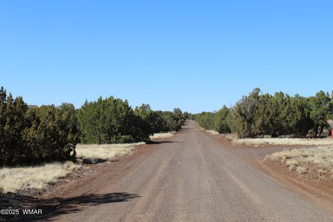 Tiny photo for 49 County Road N8158, Vernon, AZ 85940 (MLS # 255367)