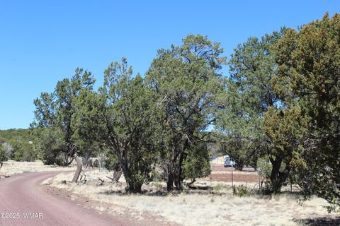 Tiny photo for 49 County Road N8158, Vernon, AZ 85940 (MLS # 255367)