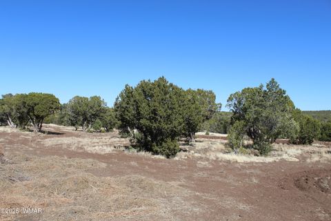 Tiny photo for 49 County Road N8158, Vernon, AZ 85940 (MLS # 255367)