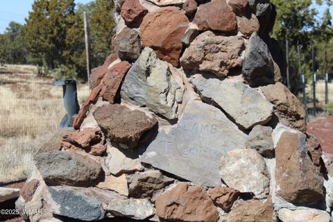 Tiny photo for 49 County Road N8158, Vernon, AZ 85940 (MLS # 255367)
