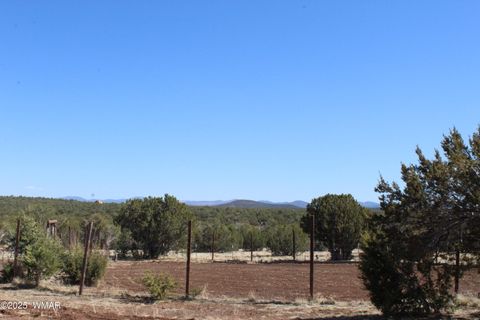 Tiny photo for 49 County Road N8158, Vernon, AZ 85940 (MLS # 255367)