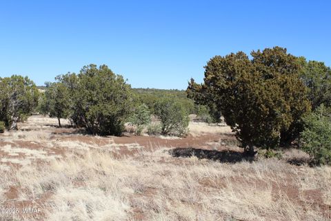 Tiny photo for 49 County Road N8158, Vernon, AZ 85940 (MLS # 255367)