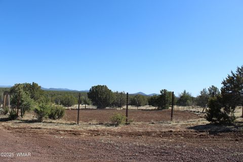 Tiny photo for 49 County Road N8158, Vernon, AZ 85940 (MLS # 255367)