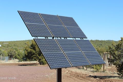 Tiny photo for 49 County Road N8158, Vernon, AZ 85940 (MLS # 255367)