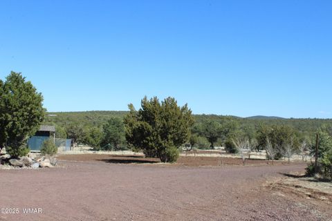 Tiny photo for 49 County Road N8158, Vernon, AZ 85940 (MLS # 255367)