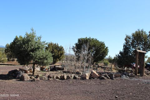 Tiny photo for 49 County Road N8158, Vernon, AZ 85940 (MLS # 255367)