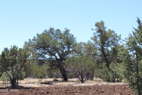 Tiny photo for 49 County Road N8158, Vernon, AZ 85940 (MLS # 255367)