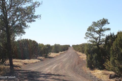 Tiny photo for 49 County Road N8158, Vernon, AZ 85940 (MLS # 255367)