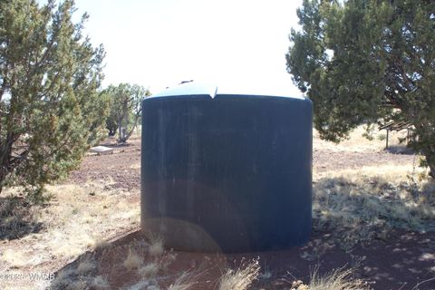 Tiny photo for 49 County Road N8158, Vernon, AZ 85940 (MLS # 255367)