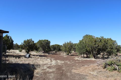 Tiny photo for 49 County Road N8158, Vernon, AZ 85940 (MLS # 255367)