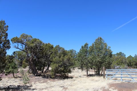 Tiny photo for 49 County Road N8158, Vernon, AZ 85940 (MLS # 255367)