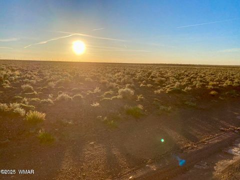 Tiny photo for TBD Hodges Ln 39.05 Acres, Holbrook, AZ 86025 (MLS # 258531)