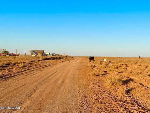 Tiny photo for TBD Hodges Ln 39.05 Acres, Holbrook, AZ 86025 (MLS # 258531)