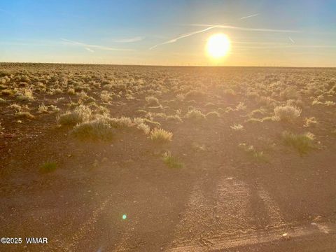 Tiny photo for TBD Hodges Ln 39.05 Acres, Holbrook, AZ 86025 (MLS # 258531)