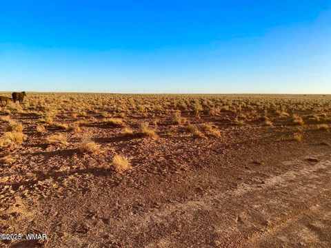 Tiny photo for TBD Hodges Ln 39.05 Acres, Holbrook, AZ 86025 (MLS # 258531)