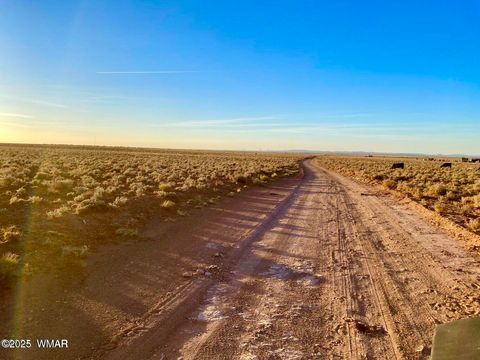 Photo of TBD Hodges Ln 39.05 Acres, Holbrook, AZ 86025 (MLS # 258531)