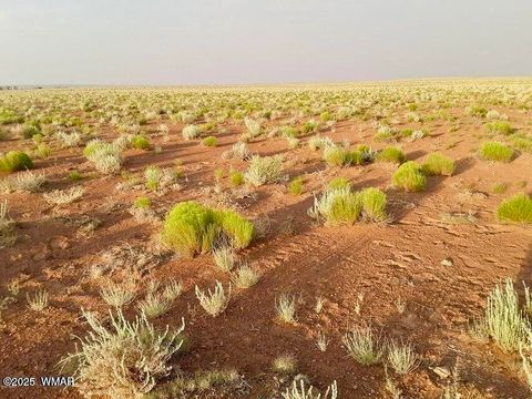 Tiny photo for TBD Hodges Ln 39.05 Acres, Holbrook, AZ 86025 (MLS # 258531)