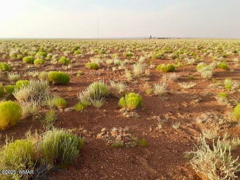 Tiny photo for TBD Hodges Ln 39.05 Acres, Holbrook, AZ 86025 (MLS # 258531)