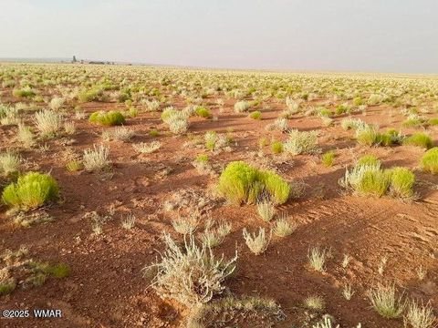 Tiny photo for TBD Hodges Ln 39.05 Acres, Holbrook, AZ 86025 (MLS # 258531)
