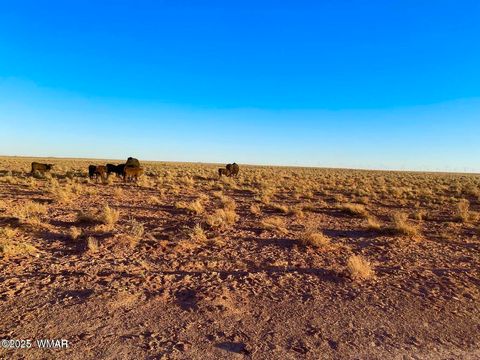 Tiny photo for TBD Hodges Ln 39.05 Acres, Holbrook, AZ 86025 (MLS # 258531)