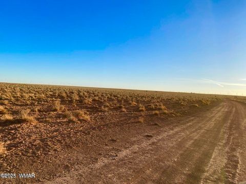 Tiny photo for TBD Hodges Ln 39.05 Acres, Holbrook, AZ 86025 (MLS # 258531)