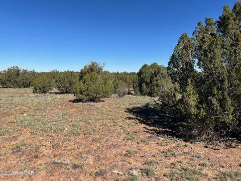Tiny photo for 8656 Bonito Drive, Show Low, AZ 85901 (MLS # 258253)