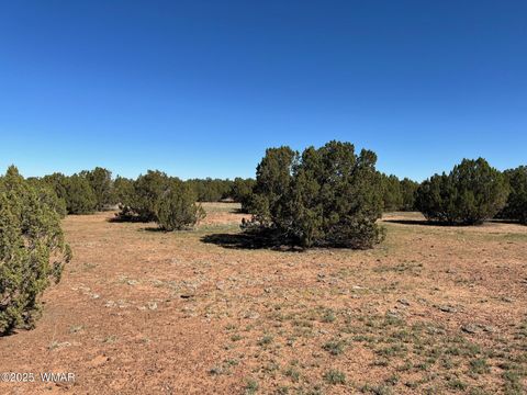 Tiny photo for 8656 Bonito Drive, Show Low, AZ 85901 (MLS # 258253)